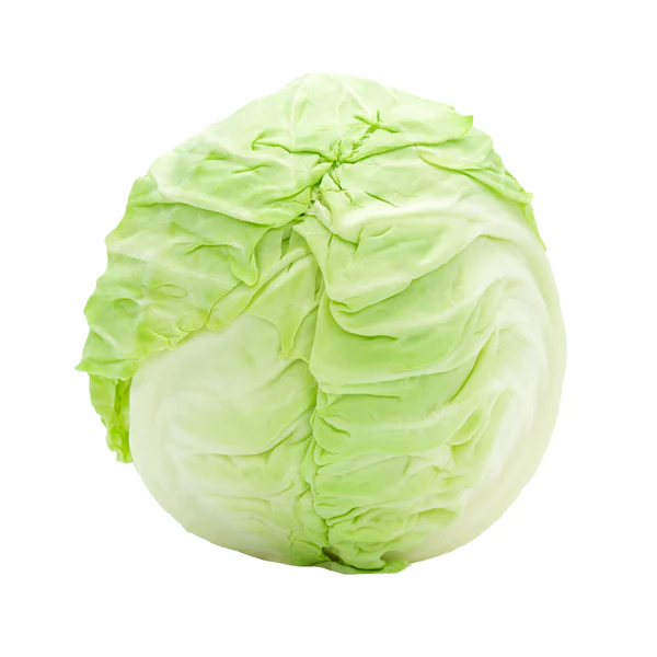 Cabbage